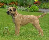 Border Terrier 8R077D-16